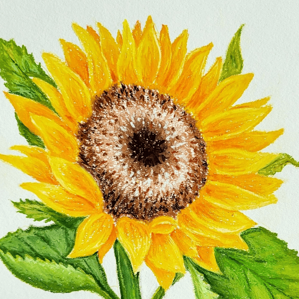 Oil-pastel-01-meimong8