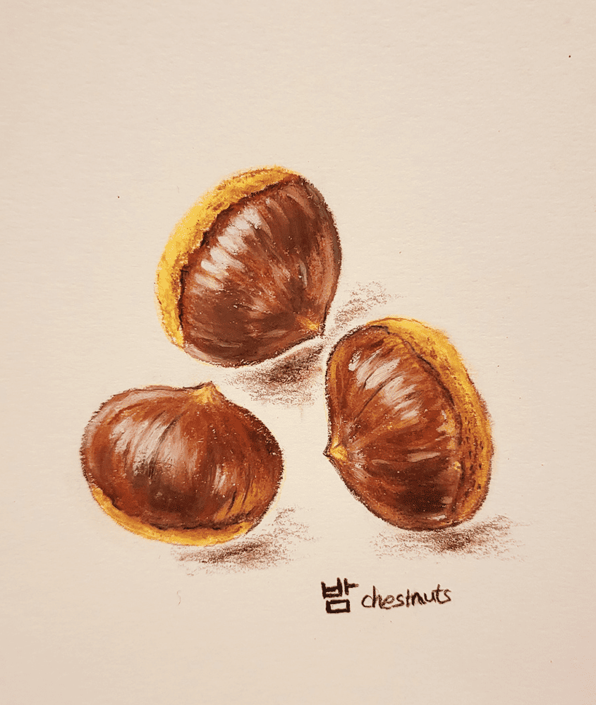 chestnuts-Oil-pastel-meimong8