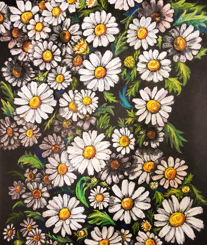 daisy-flower-Oil-pastel-meimong8