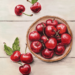 cherry-Oil-pastel-meimong8
